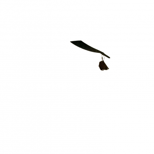 Creation of Phoenix Rising: Step 6